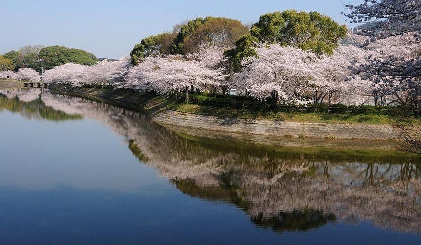 🌸 타키가시라 공원 (타키가시라 코엔) 이미지 1